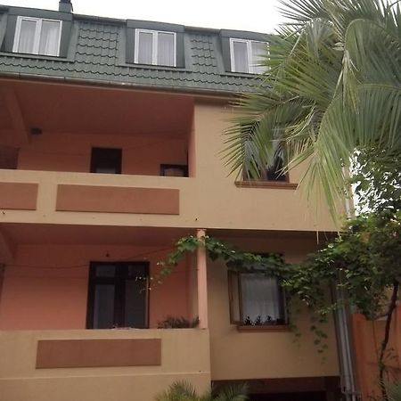 Temo'S Guesthouse Szarpi Kültér fotó