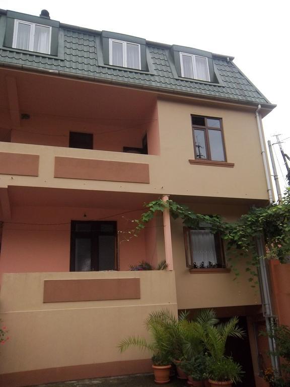 Temo'S Guesthouse Szarpi Kültér fotó